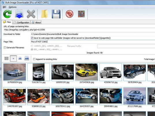 Bulk Image Downloader Screenshot 1