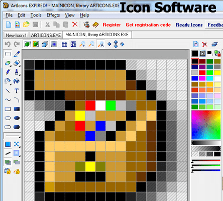 Icon Software Screenshot 1