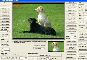 VISCOM TIFF Viewer ActiveX SDK Screenshot 1