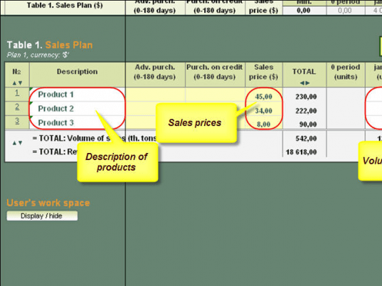 Enterprise Financial Model Screenshot 1