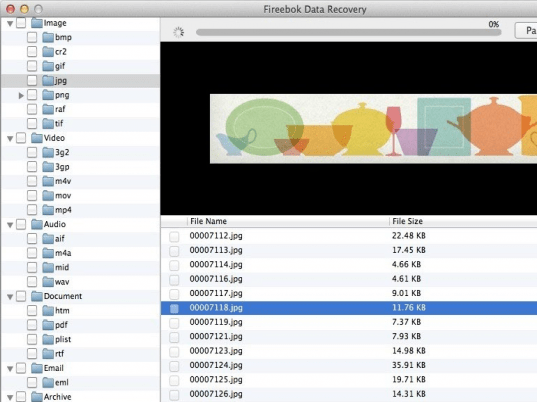 Fireebok Data Recovery Screenshot 1