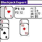 Blackjack Expert Screenshot 1
