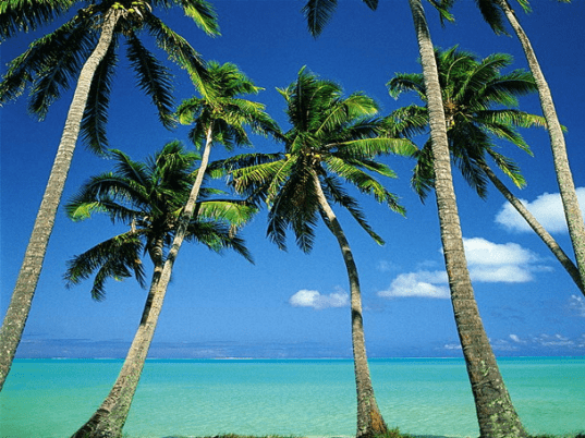 dArt Tropical Islands vol.1 Screenshot 1
