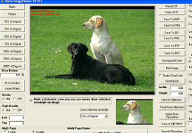 Image Viewer CP Pro TIF PDF ActiveX OCX Screenshot 1