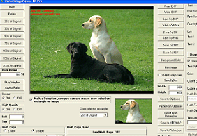 Image, PDF ActiveX Image Viewer CP Pro Screenshot 1