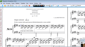 Maestro Notation Screenshot 1