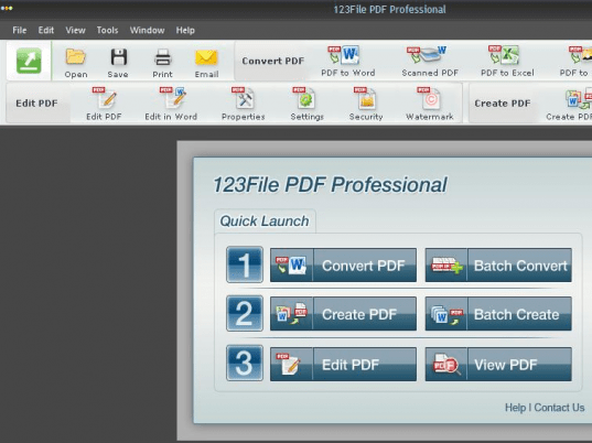 123FileConvert PDF Professional Screenshot 1