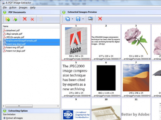 A-PDF Image Extractor Screenshot 1