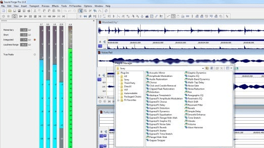 Sound Forge Pro Screenshot 1
