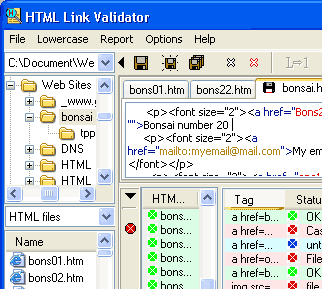 HTML Link Validator Screenshot 1
