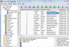 xBaseView Database Explorer Screenshot 1