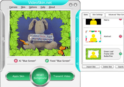 Videoskin.net Program Screenshot 1