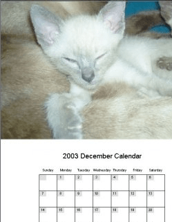 Calendar Builder Program Screenshot 1