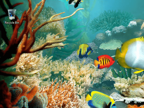 Tropical Fish 3D Screensaver Screenshot 1