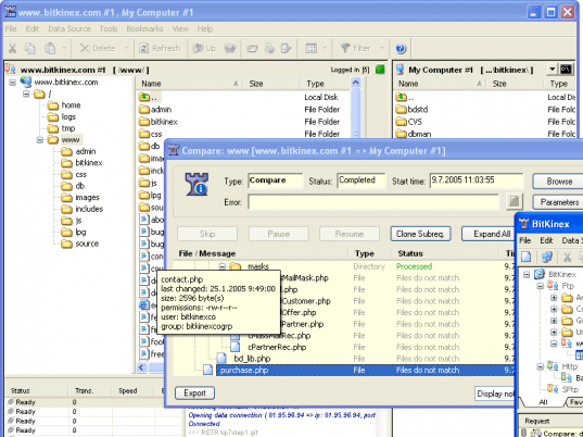 BitKinex FTP Client Screenshot 1