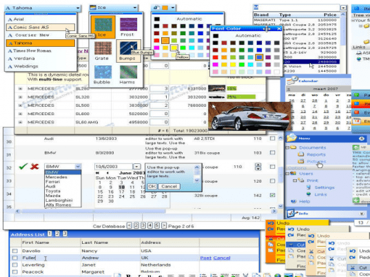 TMS ASP.NET Component Pack Screenshot 1