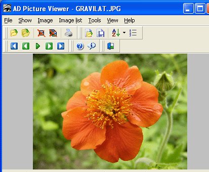 AD Picture Viewer Screenshot 1