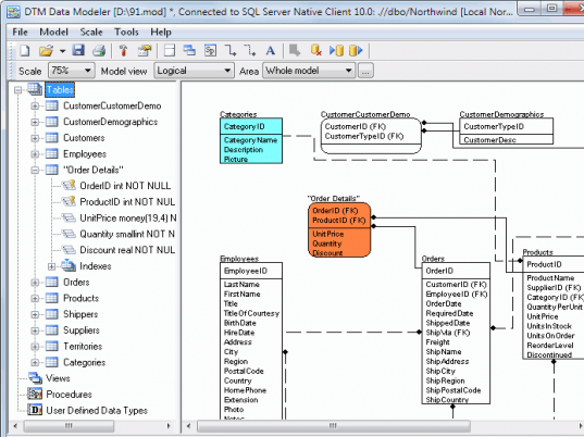 DTM Data Modeler Screenshot 1