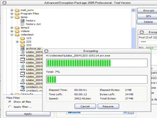 Advanced Encryption Package 2006 Professional Screenshot 1