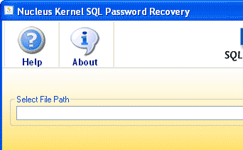 Kernel SQl Password Recovery Screenshot 1