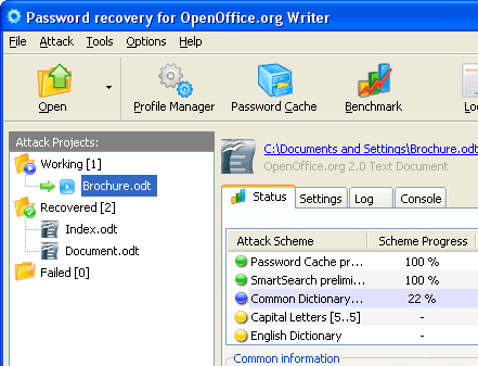 OpenOffice Writer Password Recovery Screenshot 1