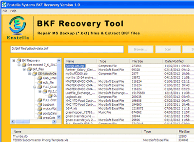 BKF Recovery Software Screenshot 1