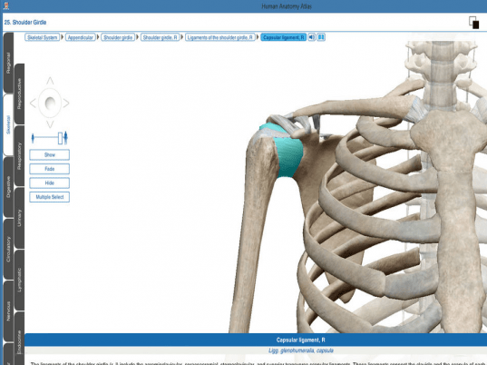 Human Anatomy Atlas Screenshot 1