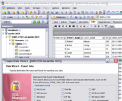 EMS SQL Manager for InterBase/Firebird Freeware Screenshot 1