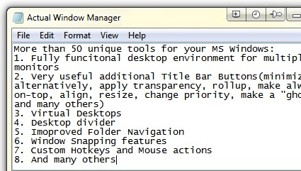 Actual Window Manager Screenshot 1