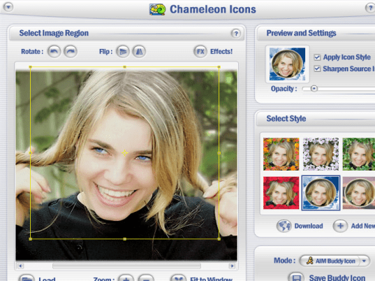 Chameleon Icons Screenshot 1