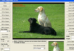 Image & PDF ActiveX - Image Viewer CP Pro Screenshot 1
