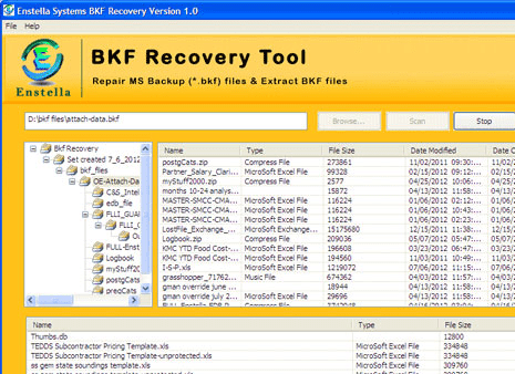 BKF Recovery Screenshot 1