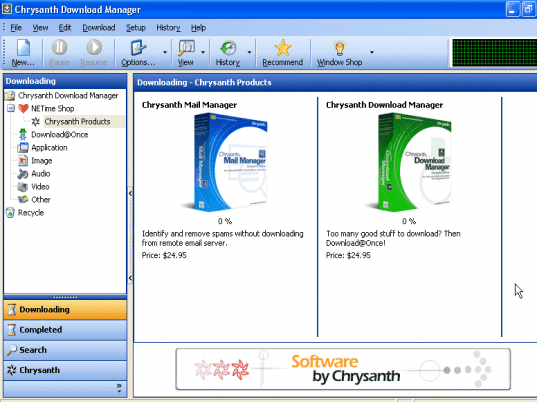 Chrysanth Download Manager Screenshot 1