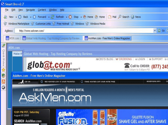 Web Browser Screenshot 1
