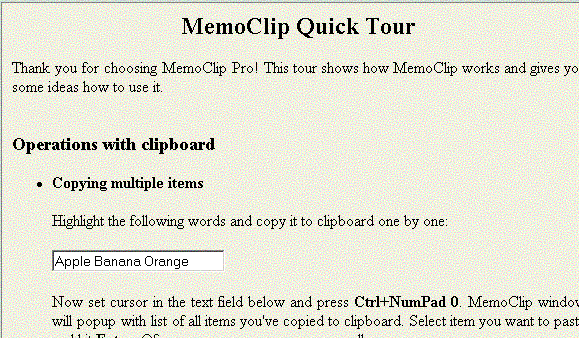 MemoClip Pro Screenshot 1
