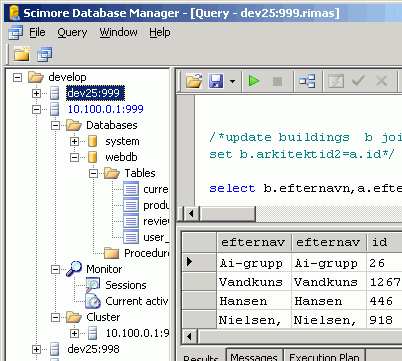 ScimoreDB Distributed Server Screenshot 1