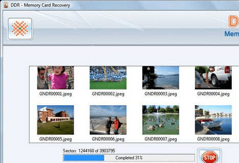 Memory Stick Pro Duo Photo Recovery Screenshot 1