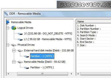 Flash Media Recovery Software Screenshot 1