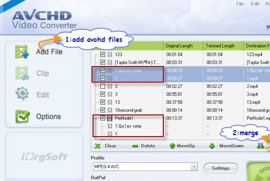 AVCHD Video Converter Screenshot 1