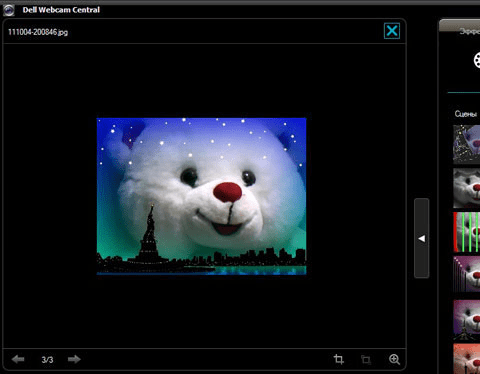 Dell Webcam Central Screenshot 1