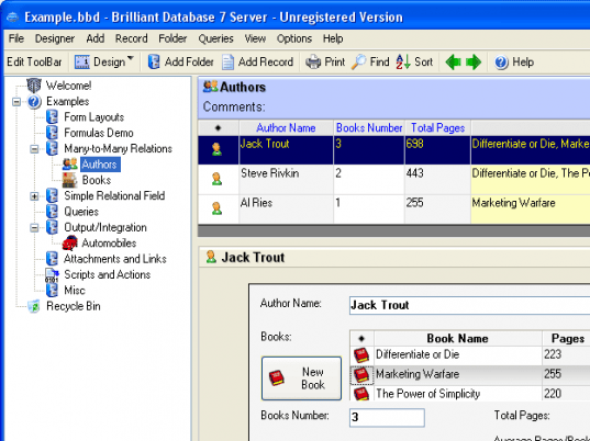 Brilliant Database Server Screenshot 1