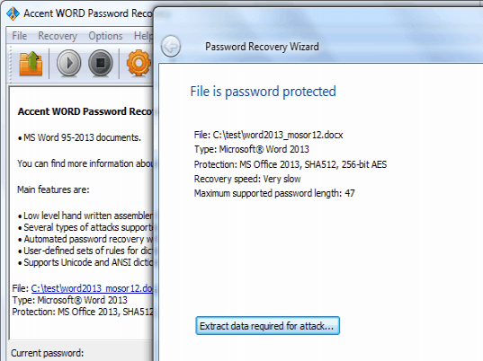 Accent Word Password Recovery Screenshot 1