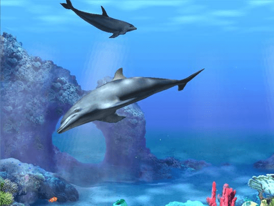 Dolphins 3D Screensaver Screenshot 1