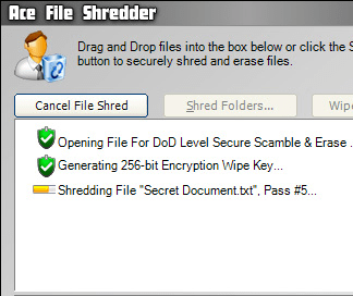 Ace File Shredder Screenshot 1