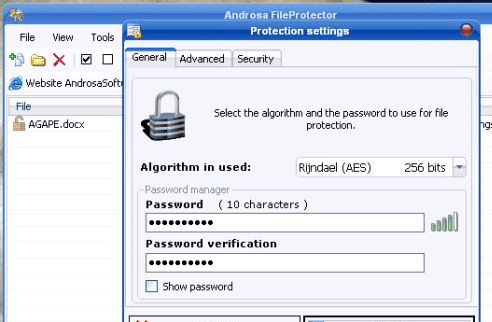 Androsa FileProtector Screenshot 1