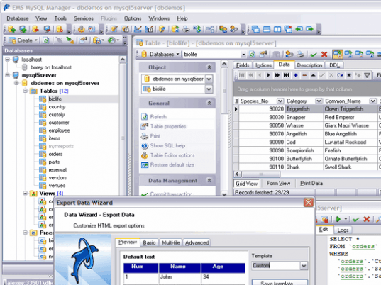 EMS SQL Manager for MySQL Screenshot 1