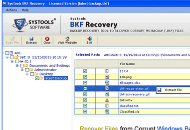Professional BKF Data Recovery Service Free Screenshot 1