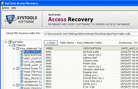MS Access File Recovery Tool Regain Form Screenshot 1