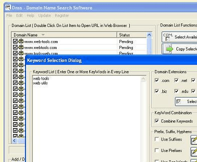 DNSS Domain Name Search Software Screenshot 1