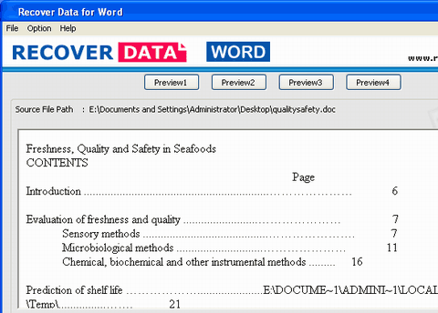 MS Word Recovery Tool Screenshot 1